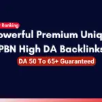 Buy Full Premium Quality PBN Backlink By SEORocket